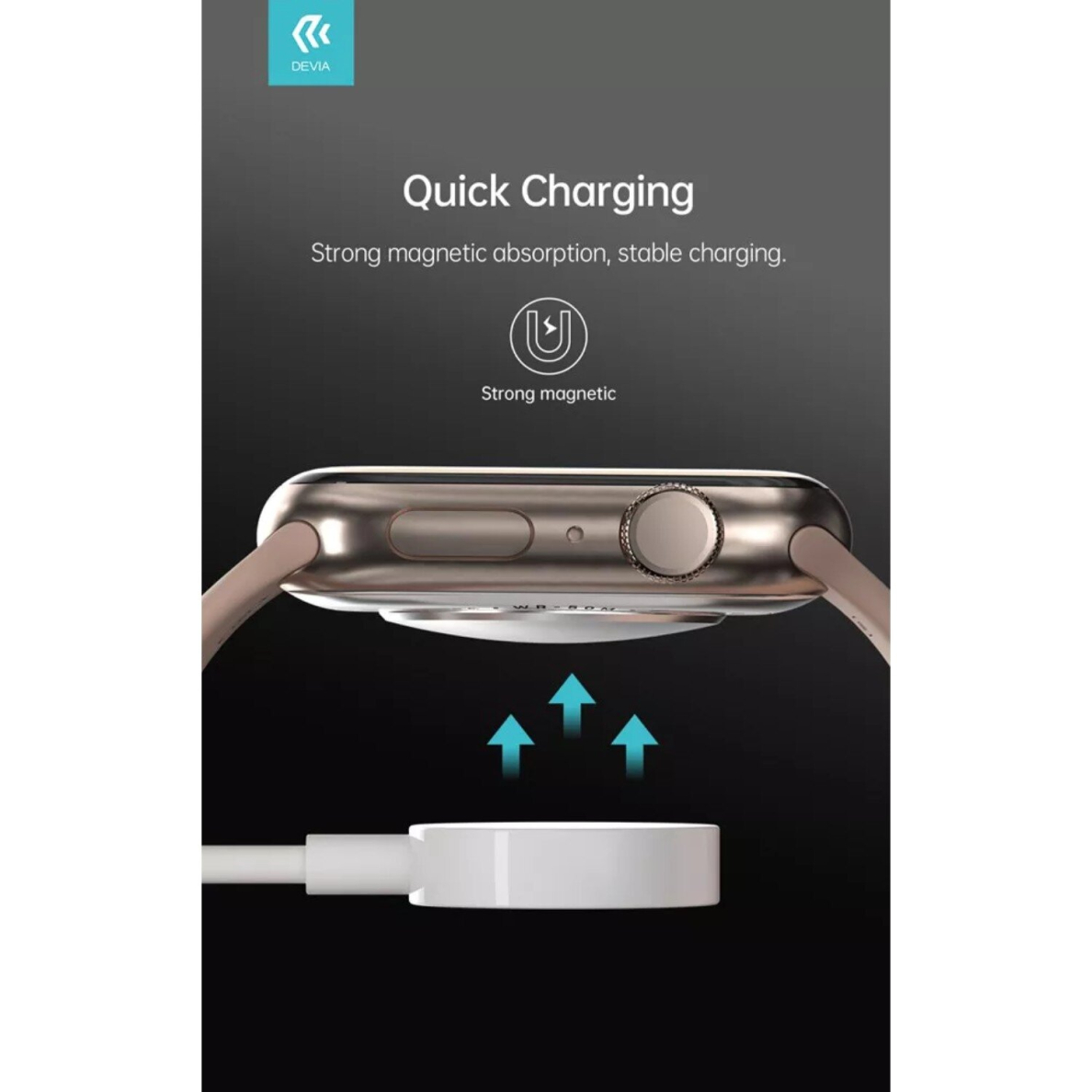 APPLE watch USB laidas DEVIA 1