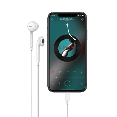 Ausinės su mikrofonu Lightning EARPODS DEVIA 3