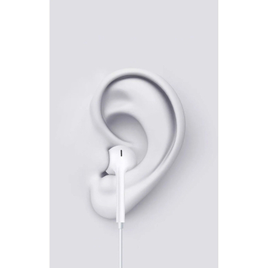Ausinės su mikrofonu Lightning EARPODS DEVIA 1