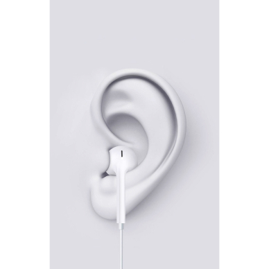 Ausinės su mikrofonu TYPE C SMART WIRED DIGITAL DEVIA 1