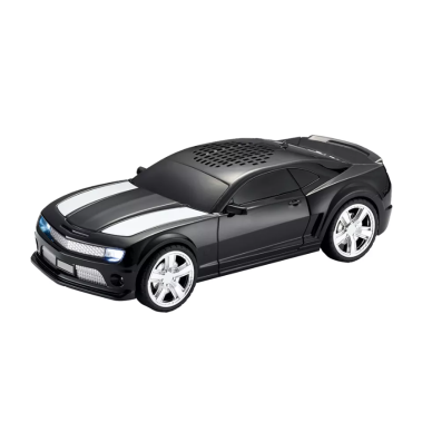 Automobilis-garsiakalbis juodas WS-592 40290 WSTER