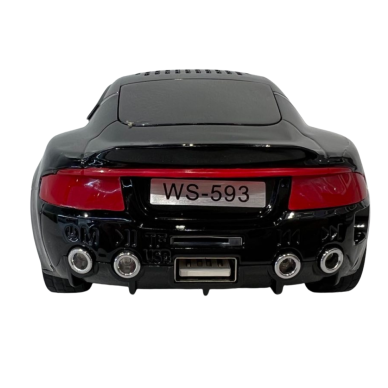 Automobilis-garsiakalbis juodas WS-593 40291 WSTER 2