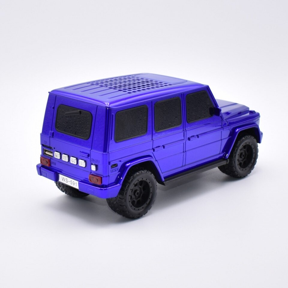 Automobilis-garsiakalbis blue WS-591 40292 WSTER 2 Automobilis-garsiakalbis blue WS-591 40292 WSTER 2