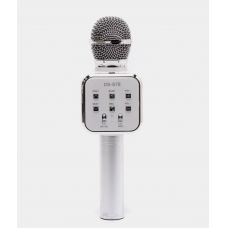 Bluetooth garsiakalbis-mikrofonas sidabro spalvos DS-878 40264