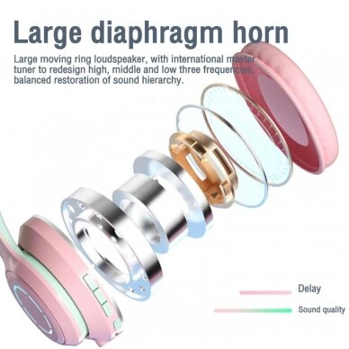 Bluetooth ausinės COLORFUL mėlynos RKD96 30029 6