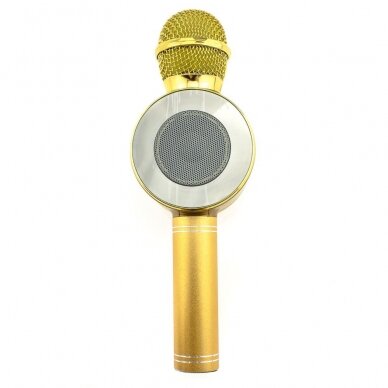 Bluetooth garsiakalbis-mikrofonas aukso spalvos WS-668 2