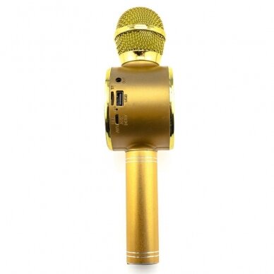 Bluetooth garsiakalbis-mikrofonas aukso spalvos WS-668 3