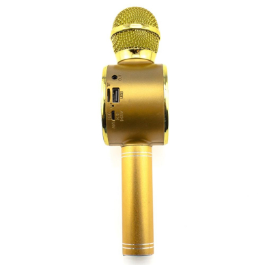 Bluetooth garsiakalbis-mikrofonas aukso spalvos WS-668 3