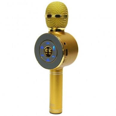 Bluetooth garsiakalbis-mikrofonas aukso spalvos WS-668 4