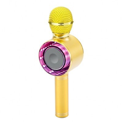 Bluetooth garsiakalbis-mikrofonas aukso spalvos WS-668 1