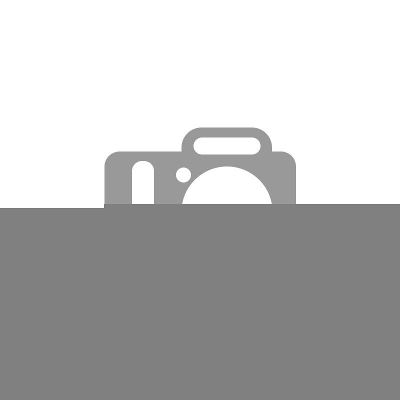 Bluetooth garsiakalbis brown RETRO AS-9 3