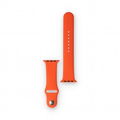 Devia Sport apyrankė Apple Watch Nectarine 38/40/41/42 mm 1