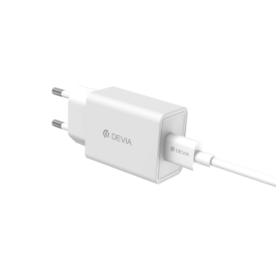 Įkroviklis buitinis SMART DEVIA USB 1