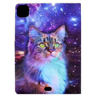 iPad Air 11 2024 (6th Gen) / iPad Pro 11 (3rd, 4th Gen) / iPad Air 10.9 (4th, 5th Gen) fashion dėklas Colorful Cat 2