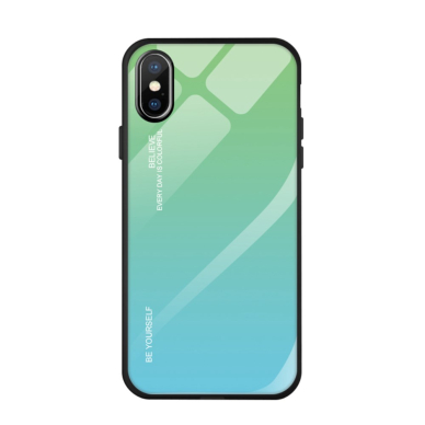 iPhone X/XS žalia+melsva tracy GLASS nugarėlė 2