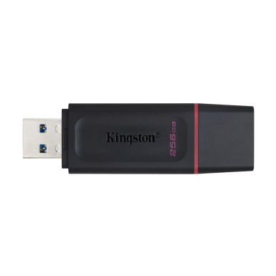 KINGSTON 256GB DT Exodia USB 3.2 raktas 1