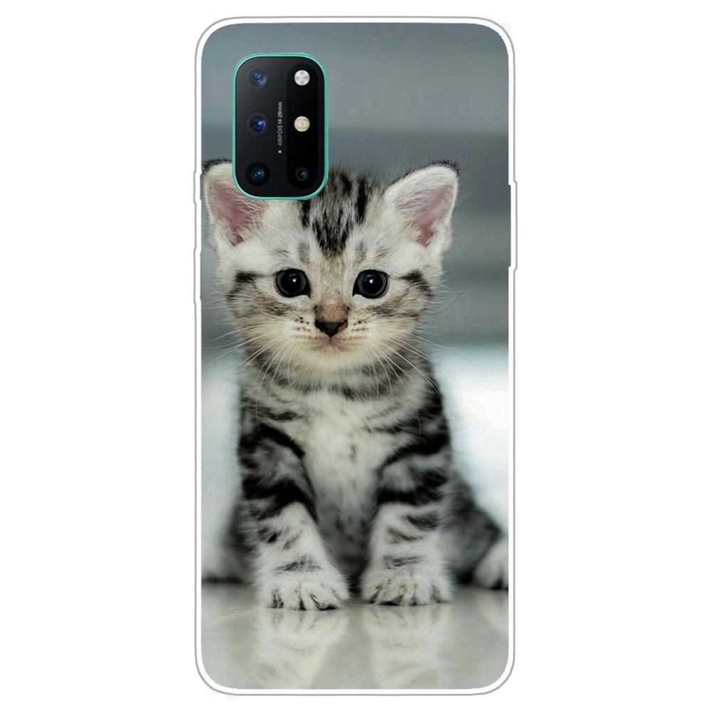 OnePlus 8T Tracy nugarėlė Adorable Cat