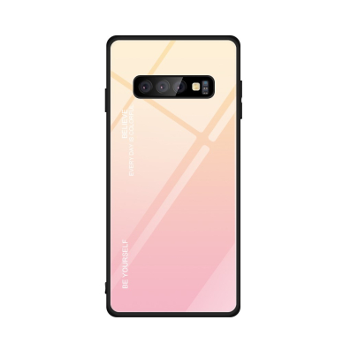 Samsung S10 PLUS rausva tracy GLASS nugarėlė 1