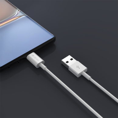 TYPE-C usb laidas DEVIA 1