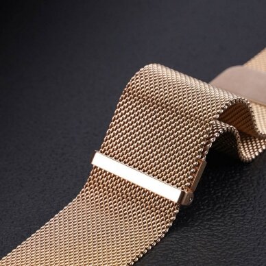 Universali DUX DUCIS Milanese stainless steel magnetic apyrankė 22mm gold 2